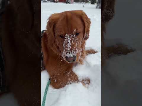 Should I add a new word? サムネイル