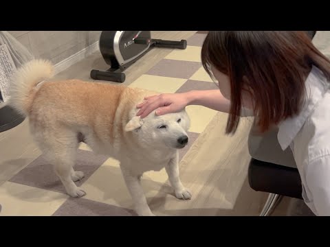 しばらくの間、ママが赤ちゃんを連れて実家に帰ることになりました。 サムネイル