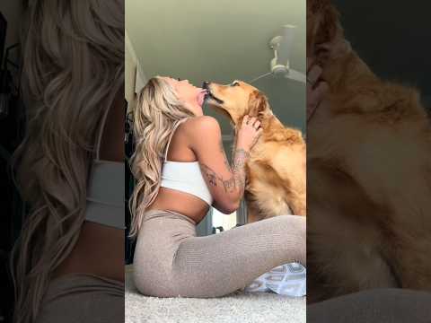 coming home to my golden retriever🥵 goldenretreiver dog ind… サムネイル