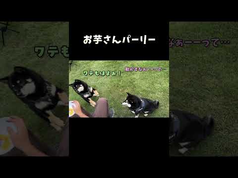 お芋さんパーリー サムネイル