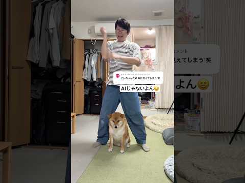 我が家の柴犬は不動のセンターらしい。　柴犬 shorts サムネイル