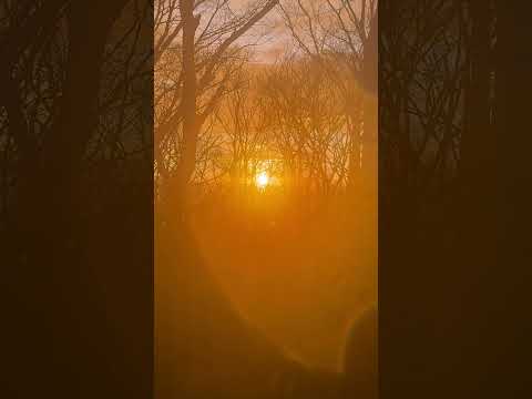 shorts 初日の出　那須高原にて　2026年1月1日 サムネイル