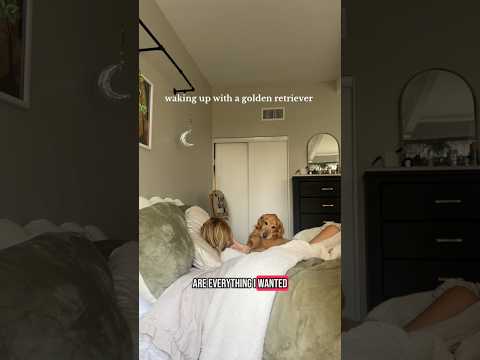coming home to my golden retriever🥵 goldenretreiver dog ind… サムネイル