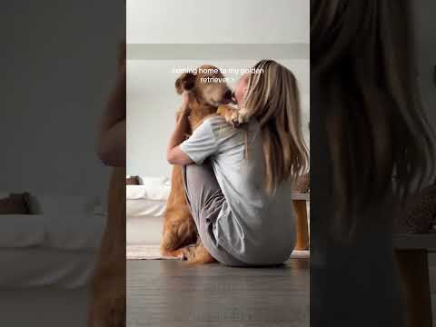 coming home to my golden retriever🥵 goldenretreiver dog ind… サムネイル