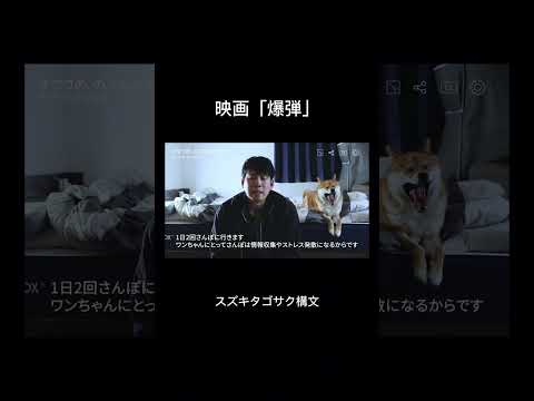 ただの犬好きww 柴犬 パロディ shorts