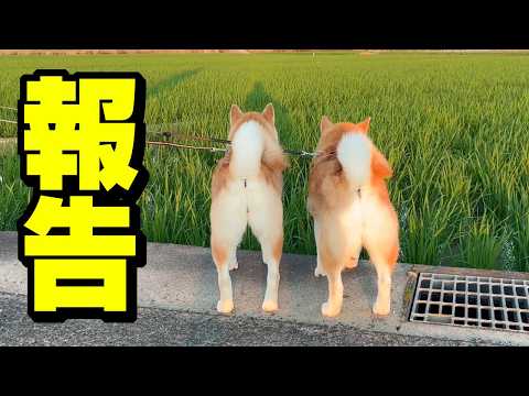 最近、動画投稿ができなかった理由について サムネイル