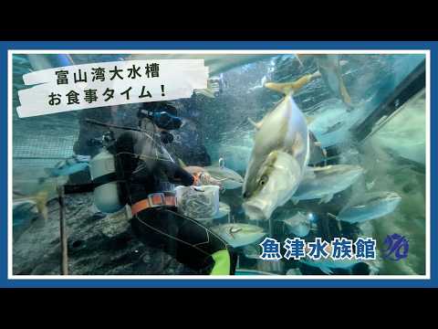 【魚津水族館】富山湾大水槽 お食事タイム！🐟