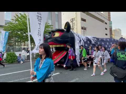松くん　酒田大獅子　酒田祭りにて　2026年5月20日 サムネイル