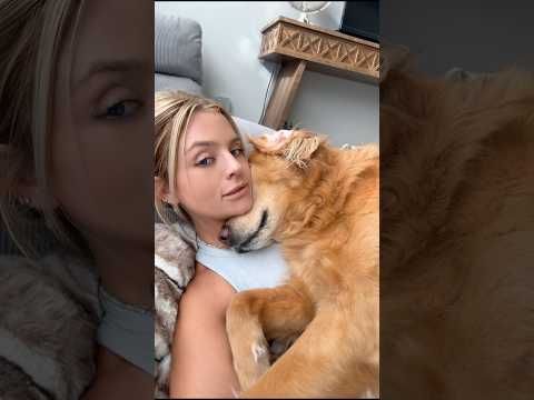 coming home to my golden retriever🥵 goldenretreiver dog ind… サムネイル
