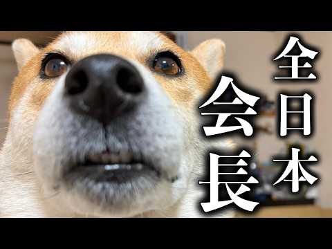 犬にしか分からない謎の協会で重要なポストを任されています【三浦半島ウォーク】里山から風呂 サムネイル