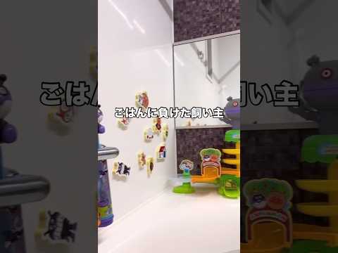 いつもお風呂に着いてきてくれるゴールデンレトリバーが浴室でごはんって聞こえてきたら ゴールデンレトリバー ゴールデンレ… サムネイル