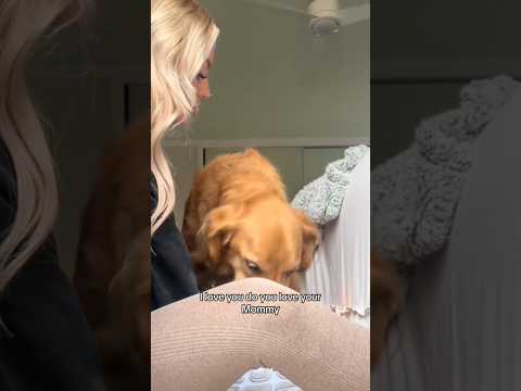 coming home to my golden retriever🥵 goldenretreiver dog ind… サムネイル