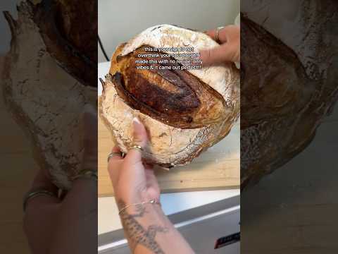 dog-tor coby to rescue🛟goldenpup puppy goldenpupppy dogbree… サムネイル