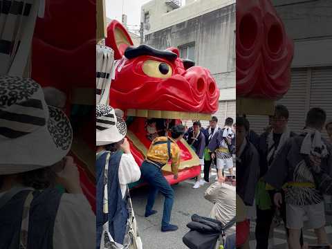 shorts 酒田大獅子　日和　獅子パックン　酒田まつり サムネイル