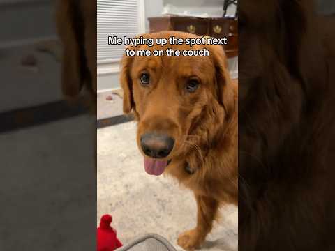 Only when it’s inconvenient for me 😞 サムネイル