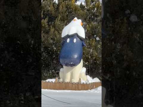 shorts 雪をかぶっておいでナスくん　那須どうぶつ王国　2026年1月12日 サムネイル