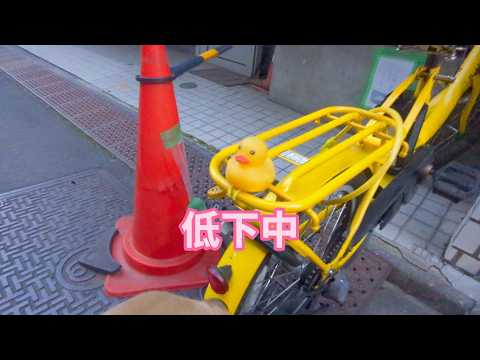 やはり低下中かっ。ゴールデンレトリバーティト サムネイル