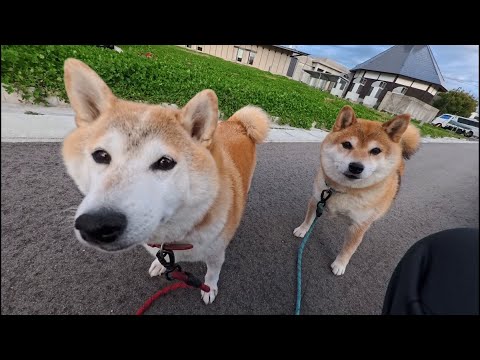 「あのぉそろそろ休憩してはいかがですか？」となんとしても引き止めようとする親子 サムネイル