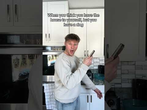 My dog 100% judges me 🫢