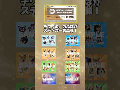 チワワの、のぶながステッカー発売中！　shorts サムネイル