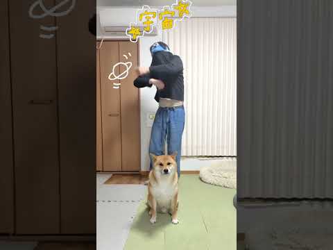 ス◯ス◯の怪電波🌀　柴犬