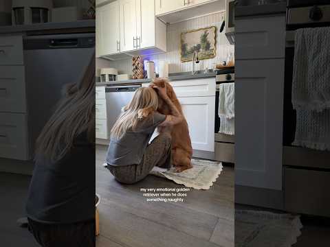 Bikini Try-On Haul | 4K Transparent Lingerie & See-Through… サムネイル