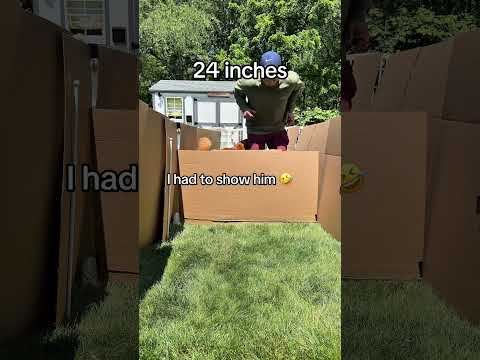 Allegedly a golden retriever can jump 6 feet?!