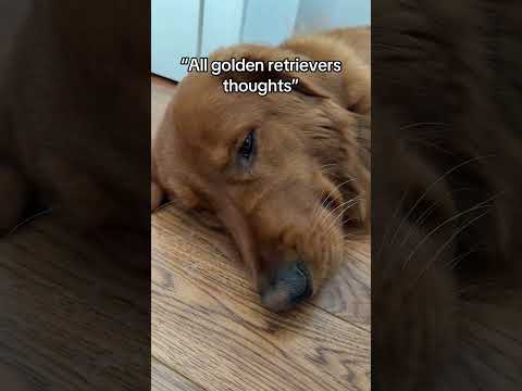 Was this mean? サムネイル