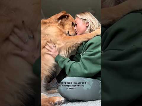 coming home to my golden retriever🥵 goldenretreiver dog ind…