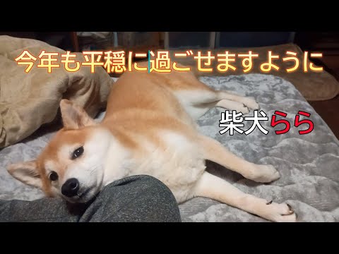 今年も平穏に過ごせますように サムネイル