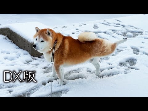 あけましておめでとうステップ・DX版 サムネイル