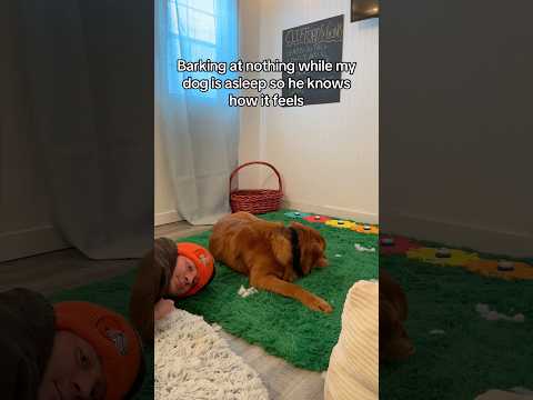 You think he got the message? サムネイル