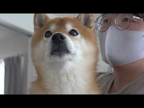 実家に行ったら大変なことになってました。 サムネイル