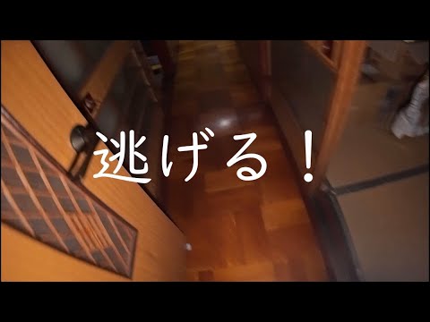 逃がしてあげるのでアスパラガスみたいなヤツください サムネイル