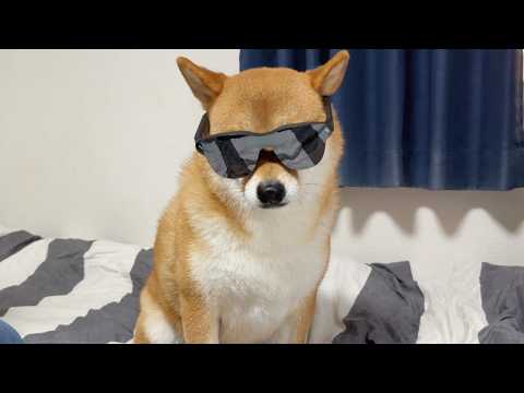 【ガチ】生活が変わるレベルのやつが来たんだけど サムネイル