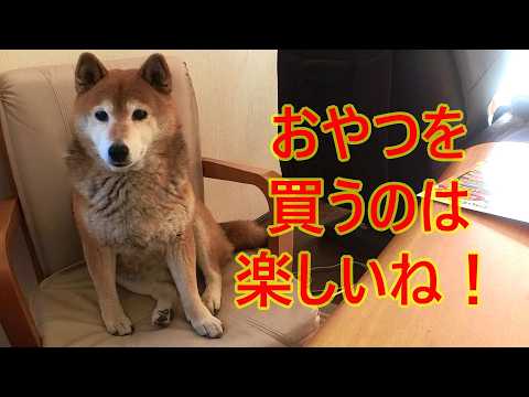 【1093】過去映像：もう行かなくなったお店 サムネイル