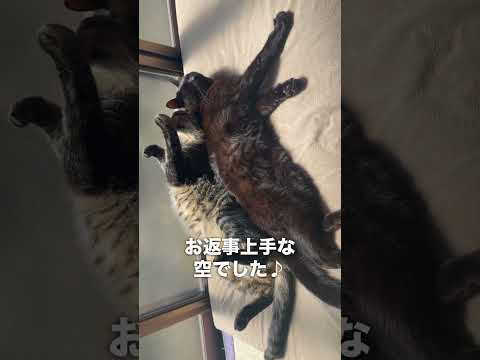 名前を呼んでよ His name is Kuu サムネイル