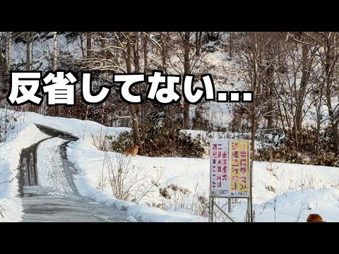 昨日５時間迷子になった犬、今日も山へ向かいました サムネイル
