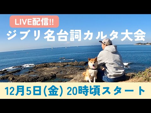 となりのトトロ名台詞カルタ大会　LIVE 2025 サムネイル