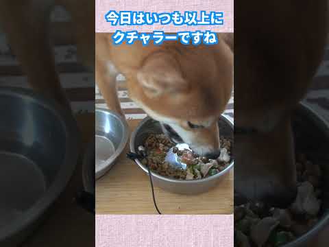 いつも以上にクチャラー サムネイル