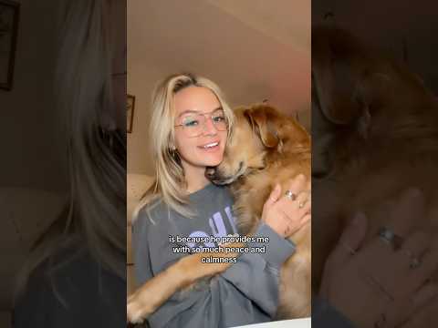 coming home to my golden retriever🥵 goldenretreiver dog ind… サムネイル
