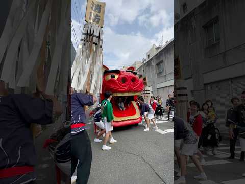 shorts 酒田大獅子日和　獅子パックン　酒田まつり サムネイル