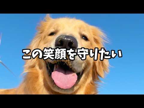 【愛犬を守るための防災グッズ】避難訓練と持ち出し袋 サムネイル