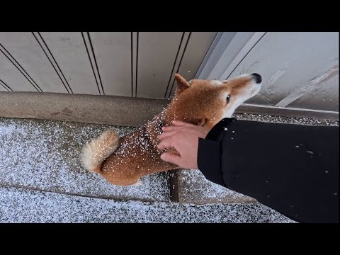 揚げパンの 砂糖を払って 討ち入りだ サムネイル