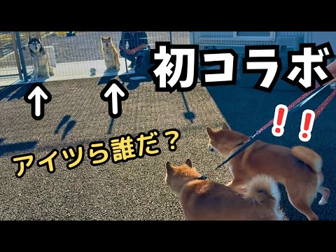 【神回】YouTubeで噂のあの兄弟に会いに行ってきました【もちごめ兄弟コラボ】 サムネイル