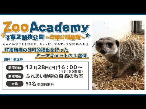 Zoo Academy @東武動物公園　～日曜公開講座～肝細胞癌の外科的摘出を行ったミーアキャットの1症例　　東武動物… サムネイル