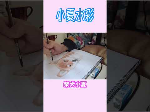 小夏水彩2　 柴犬 shibainu 癒し サムネイル