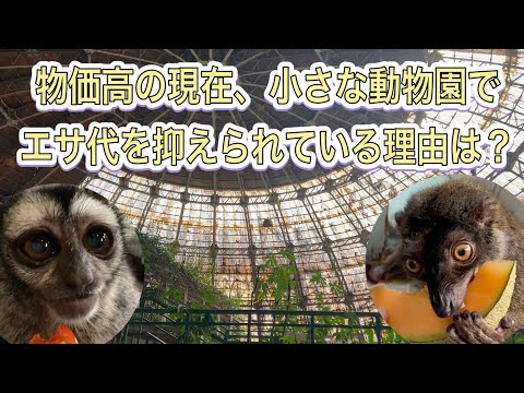物価高の中でも動物達のエサ代を抑えられている理由・・・。それは、「温かさ」「感謝」にあります。 サムネイル