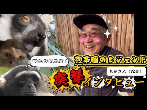 国内最高齢の動物園スタッフ！？草津熱帯圏のレジェンドおじいちゃんにインタビュー♫ サムネイル