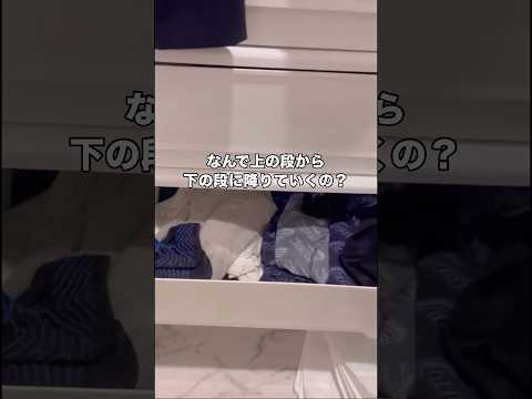 猫ちゃんの謎。 猫 甘えん坊猫 ねこのきもち shorts サムネイル